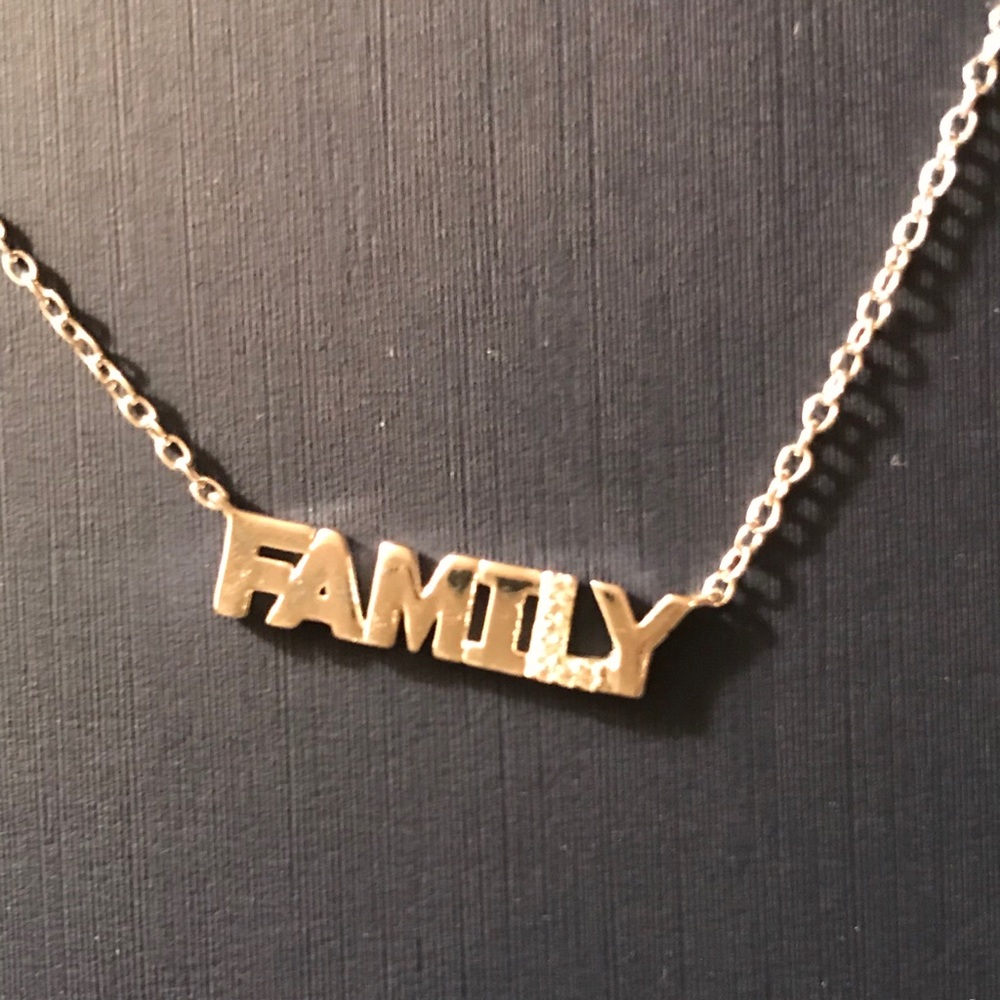 NWT Belk Silverworks Family necklace